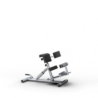 Скамья для гиперэкстензии Proxomed Compass MTT Trunk Trainer Combi в Краснодаре