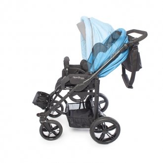 Детская прогулочная коляска ДЦП Liwcare Modi Buggy на раме Rico в Краснодаре