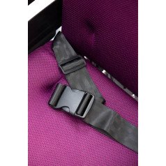 2-точечный ремень
