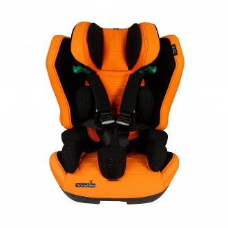 Детское автомобильное кресло ДЦП Thomashilfen RECARO Axion 1 Reha в Краснодаре