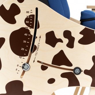 Детская комнатная кресло-коляска Akcesmed Dalmatian Invanto Dt-2 в Краснодаре