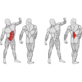 Тренажёр механотерапевтический для мышц пресса и спины Hur Rehabilitation 5310 в Краснодаре