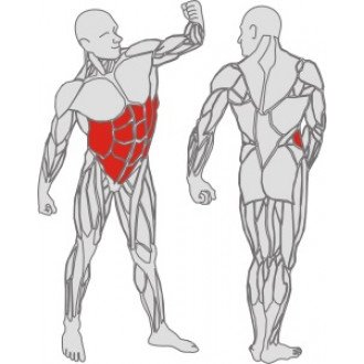 Тренажёр для мышц пресса Hur Easy Access 9330  в Краснодаре