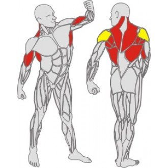 Тренажёр механотерапевтический для рук и спины Hur Rehabilitation 5175 в Краснодаре