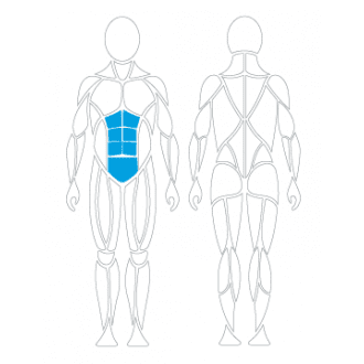 Тренажёр механотерапевтический для пресса David Abdominal Crunch G130 в Краснодаре