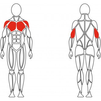 Тренажёр механотерапевтический для мышц груди David Chest Press G510 в Краснодаре