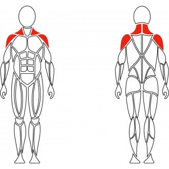 Тренажер механотерапевтический David Shoulder Concept F620 разведение рук в стороны в Краснодаре