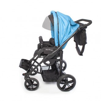 Детская прогулочная коляска ДЦП LIWCare Modi Buggy в Краснодаре